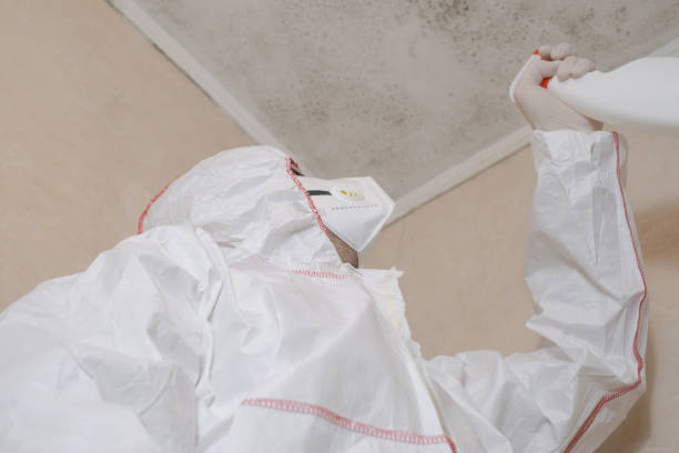 Best Toxic Mold Removal  in Stafford Springs, CT