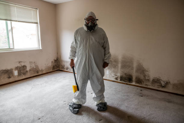 Best Mold Testing  in Stafford Springs, CT